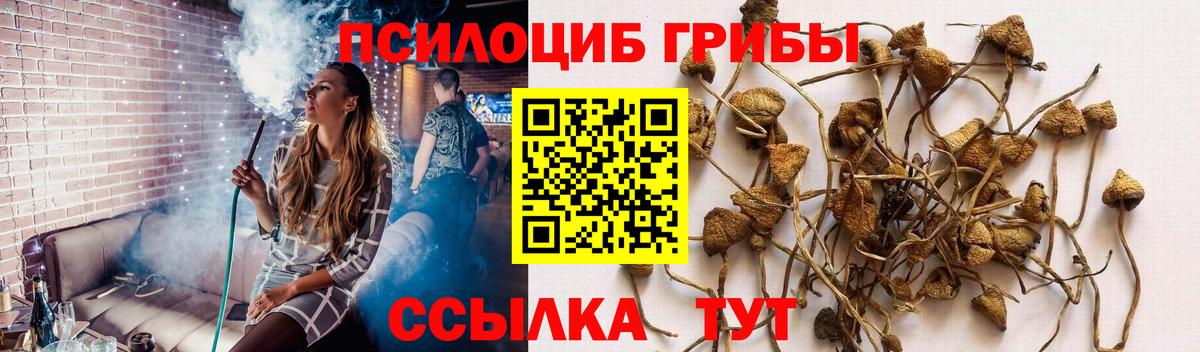 Галлюциногенные грибы мухоморы Вязники